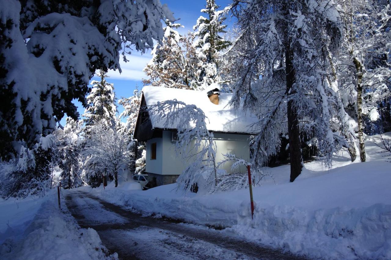 Forest House Villa Vrhnika Eksteriør bilde